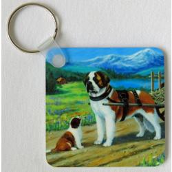 St B 3-6 key ring-side 1
